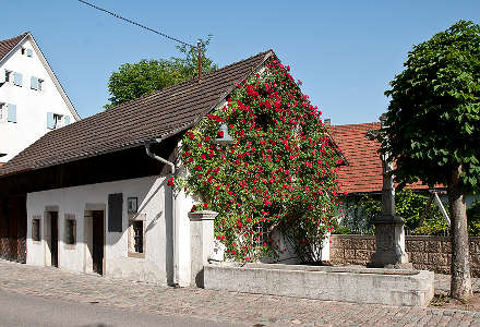 Gasthaus Hirschen Dogern Aussenansicht