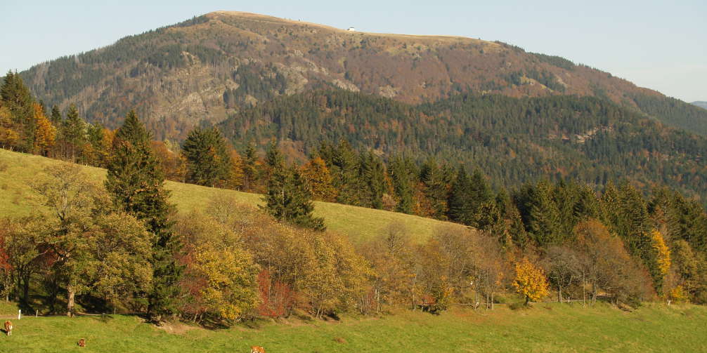 Gasthaus Hirschen Dogern Freizeit Tipps