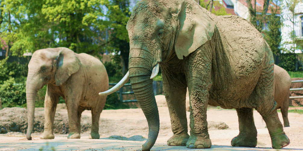Gasthaus Hirschen Dogern Freizeit Tipps
