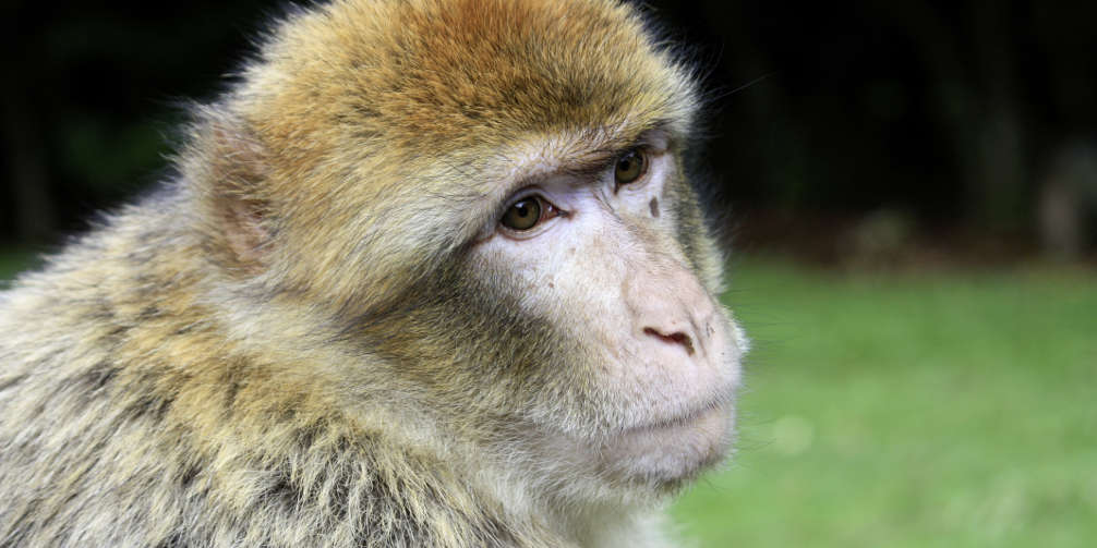 Gasthaus Hirschen Dogern Freizeit Tipps