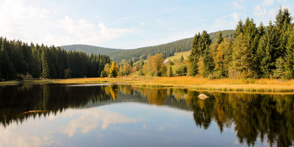 Gasthaus Hirschen Dogern Freizeit Tipps